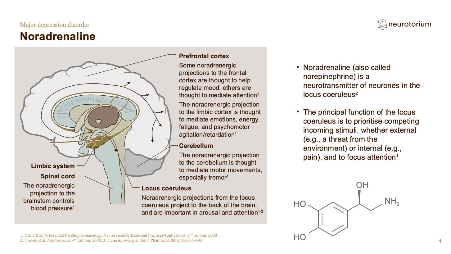 Major Depressive Disorder – Neurobiology and Aetiology – slide 15